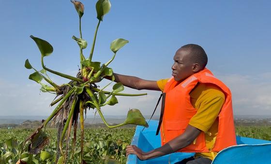 Novos investimentos são anunciados para recifes de coral no Quênia